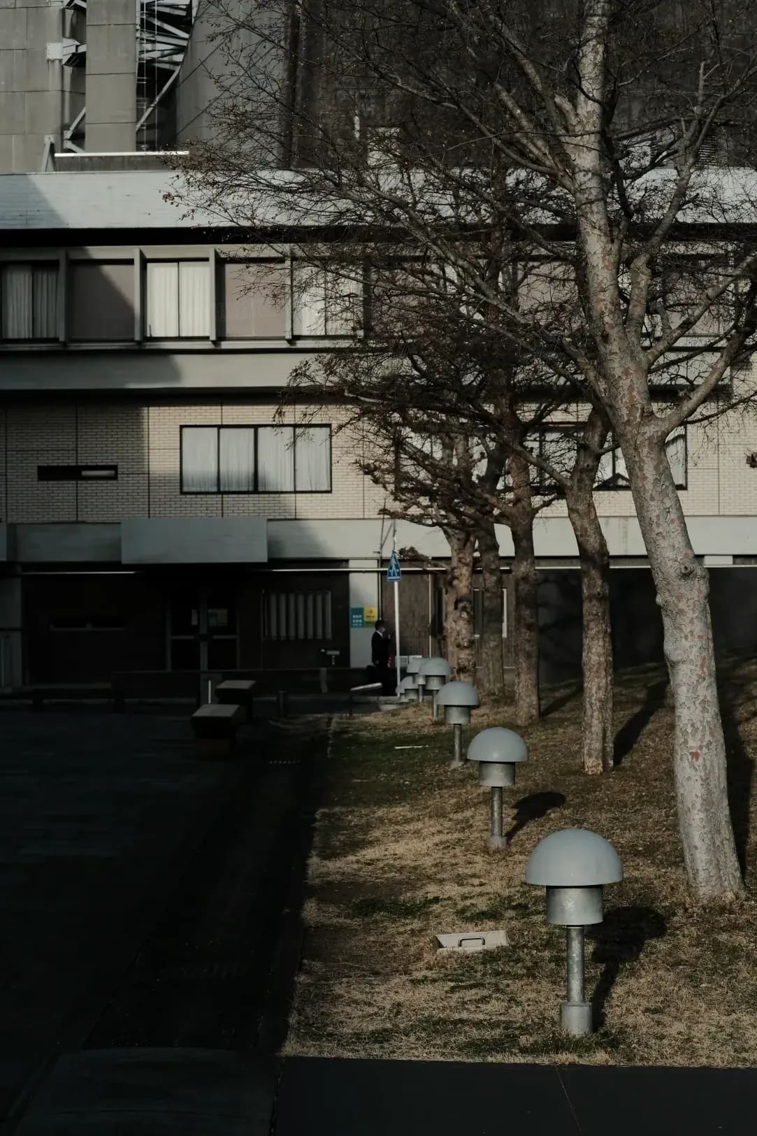Yokohama Bay Japanese School 15