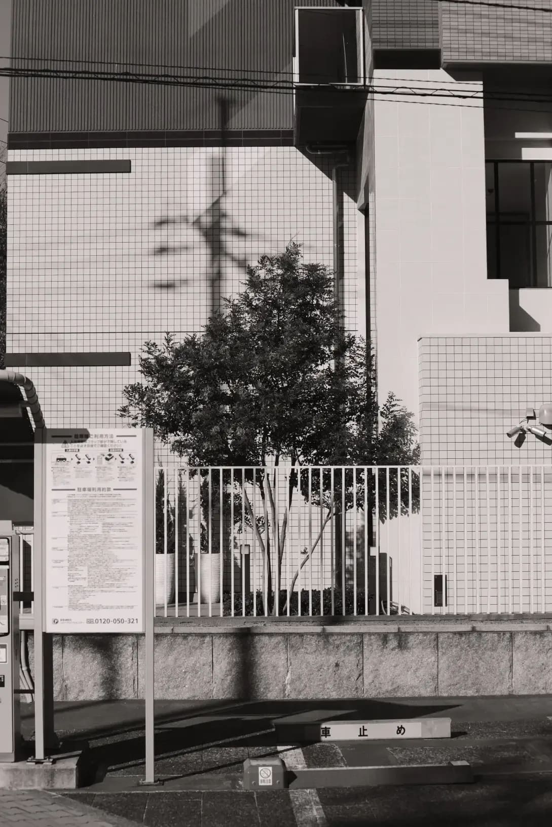 Yokohama Bay Japanese School 9